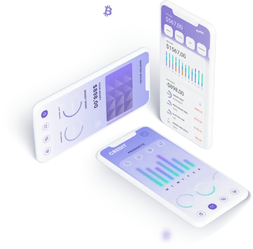 QubiQuant Vision - Harnessing the Potential of Digital Currency via QubiQuant Vision Technology